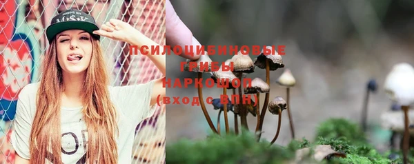 a pvp Вязьма