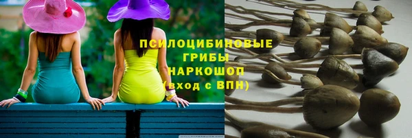 сатива Горнозаводск