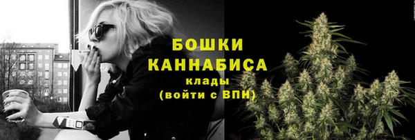 сатива Горнозаводск