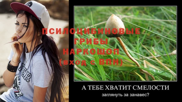 сатива Горнозаводск