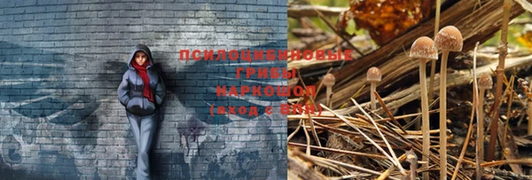 первитин Вязники